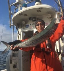 シーモンキー 釣果