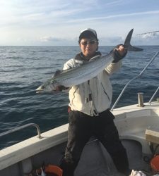 シーモンキー 釣果