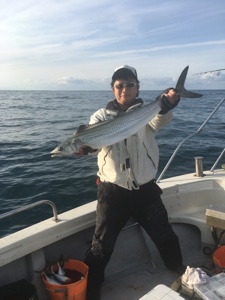 シーモンキー 釣果