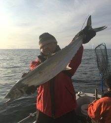 シーモンキー 釣果