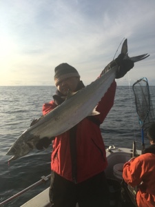 シーモンキー 釣果