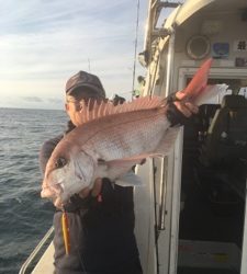 シーモンキー 釣果