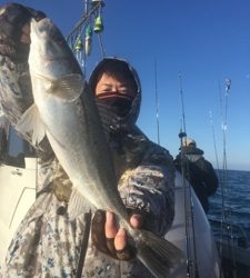 シーモンキー 釣果