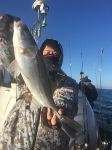 シーモンキー 釣果