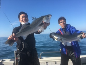 シーモンキー 釣果