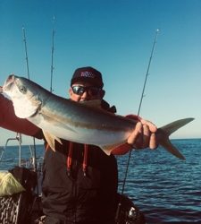 シーモンキー 釣果