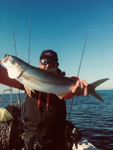 シーモンキー 釣果