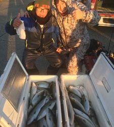 シーモンキー 釣果