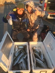 シーモンキー 釣果