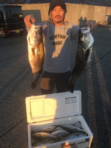 シーモンキー 釣果