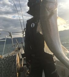 シーモンキー 釣果