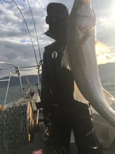 シーモンキー 釣果