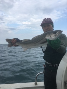 シーモンキー 釣果