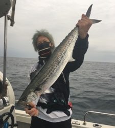 シーモンキー 釣果