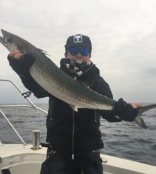 シーモンキー 釣果