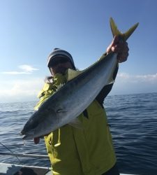 シーモンキー 釣果