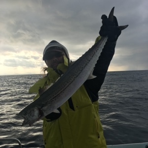 シーモンキー 釣果