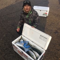 シーモンキー 釣果