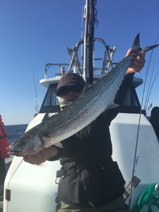 シーモンキー 釣果