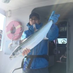 シーモンキー 釣果