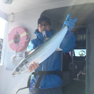 シーモンキー 釣果