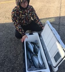 シーモンキー 釣果