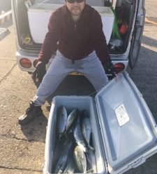 シーモンキー 釣果