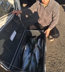 シーモンキー 釣果