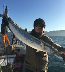 シーモンキー 釣果