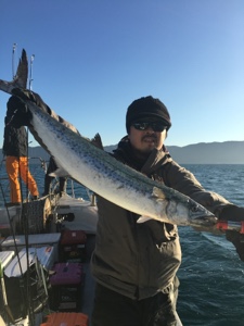 シーモンキー 釣果