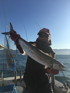 シーモンキー 釣果