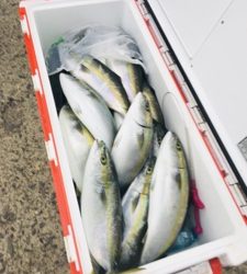 シーモンキー 釣果