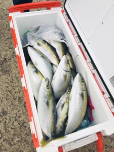 シーモンキー 釣果