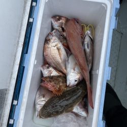 リトルワン 釣果