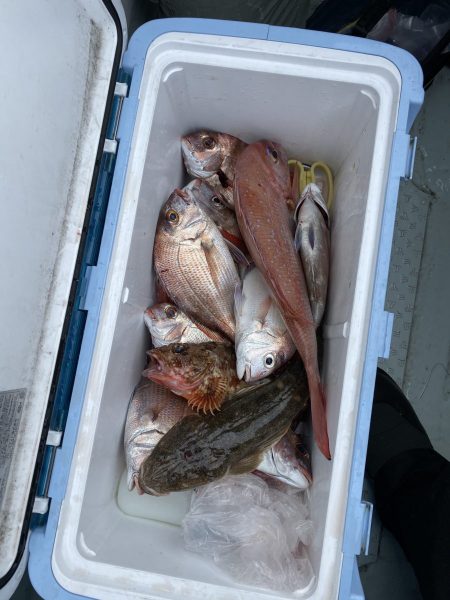 リトルワン 釣果