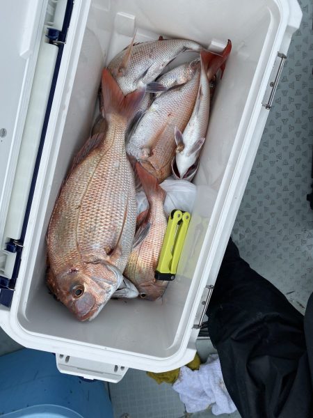 リトルワン 釣果