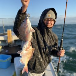 リトルワン 釣果