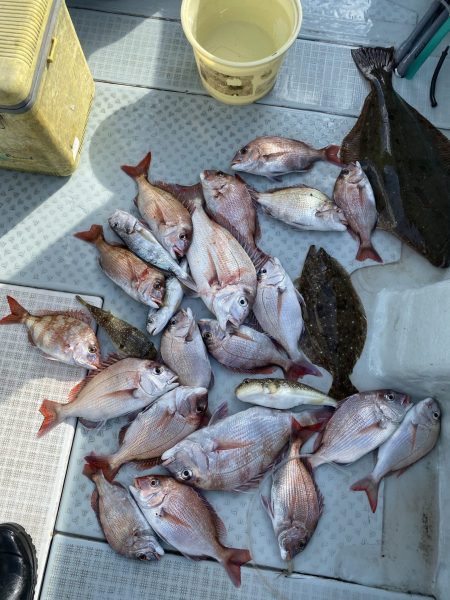 リトルワン 釣果