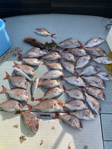 リトルワン 釣果