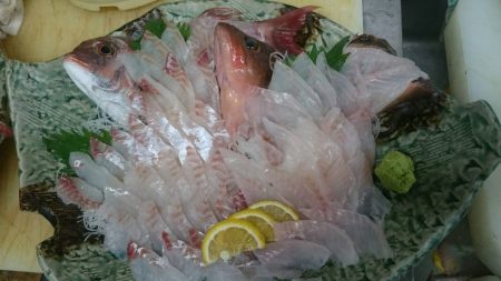 リトルワン 釣果