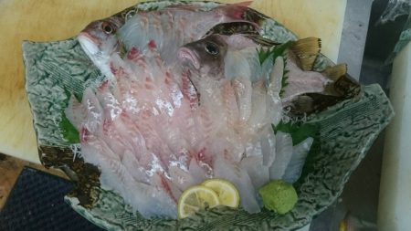 リトルワン 釣果