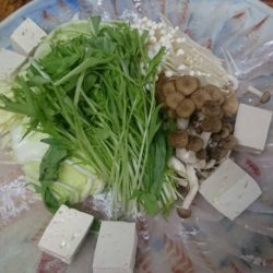 リトルワン 釣果