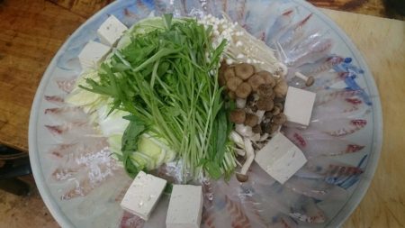 リトルワン 釣果