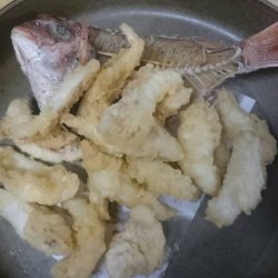 リトルワン 釣果