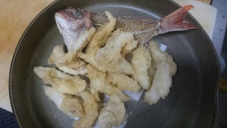 リトルワン 釣果