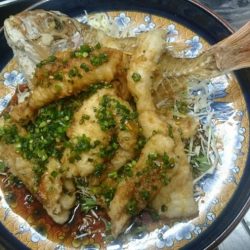 リトルワン 釣果