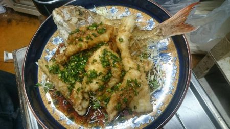 リトルワン 釣果