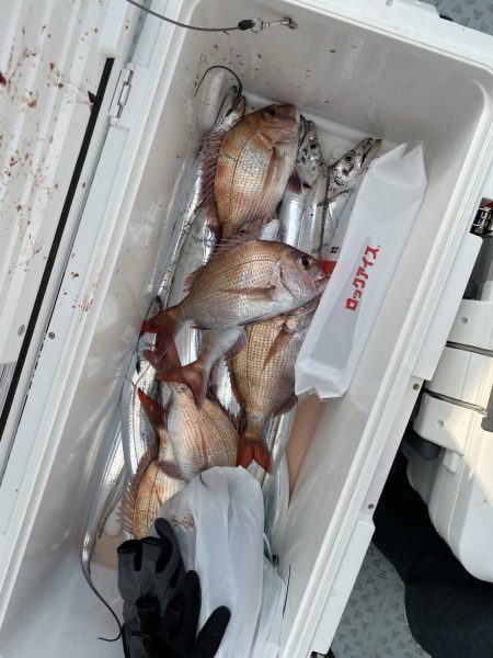 リトルワン 釣果