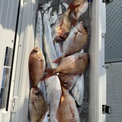 リトルワン 釣果