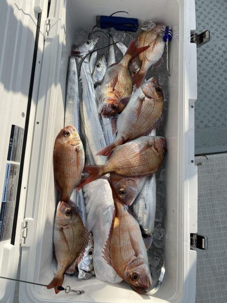 リトルワン 釣果